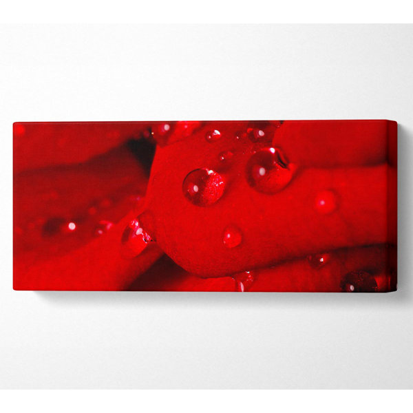 Ebern Designs Red Petal Dew Drop - Wrapped Canvas Panoramic Art Prints ...