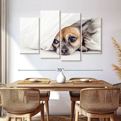 Chihuahua découragé