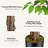 Green Faux Ficus Tree in Pot-1143658879