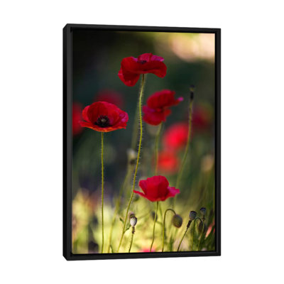 'Morpheus Ascending' by Geoffrey Ansel Agrons Photographic Print on Canvas