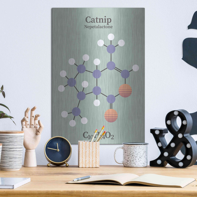 " Catnip Molecule 2 " by Maxim, 16" H x 12" W