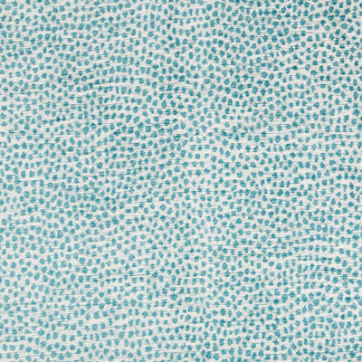 Performance Crypton Home Fabric