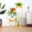 Support pour plante rond multiniveaux-35255792