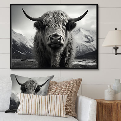 " Black And White Yaks Portrait IV "