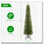 Crayon vert 6 pi Noël