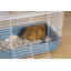 Cage pour petits animaux Niehaus-69581208-69581210