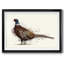 Pheasant Splash 1, reproduction d'art sur papier-924650805-924650807