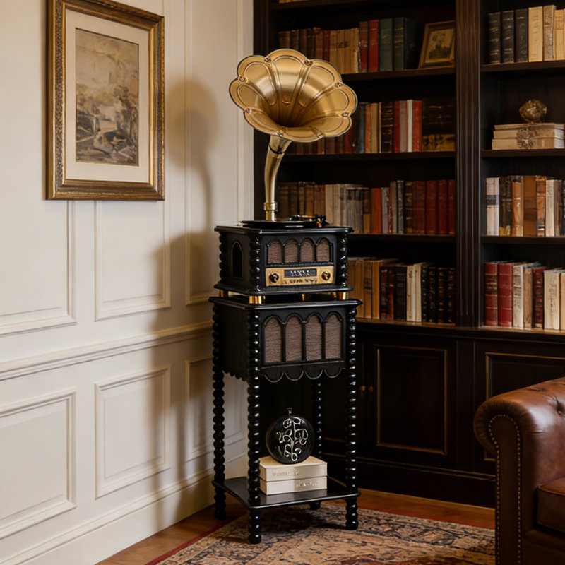 Rétro tourne-disque avec haut-parleur Bluetooth, Phonographe intégré et radio, Noir