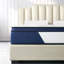 Alwyn Home Wetumka 10'' Medium Hybrid Mattress-161436330