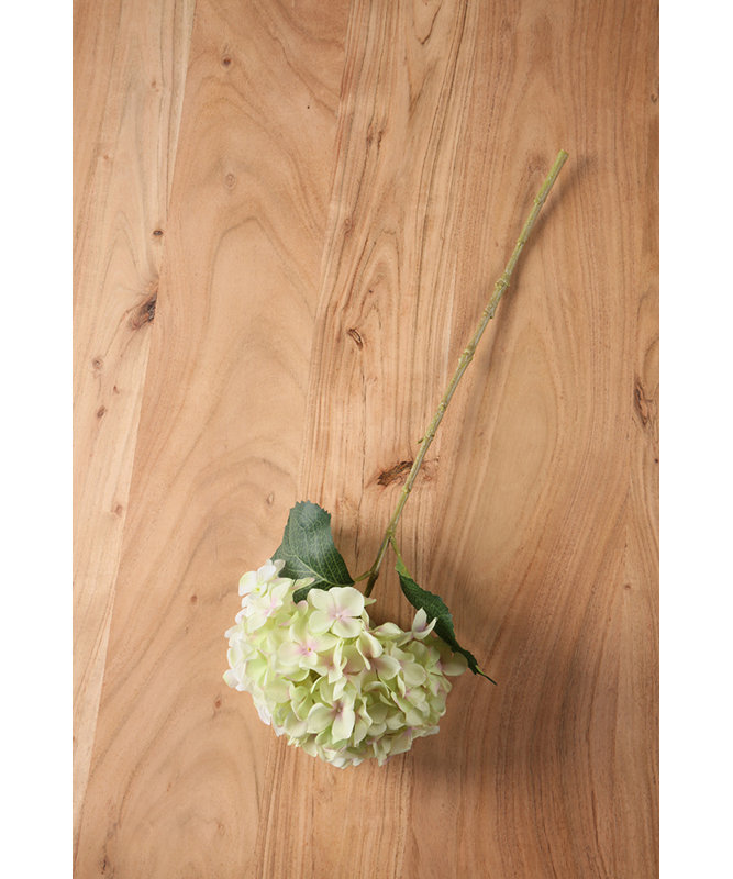 Faux Cream/Green Hydrangea Stems