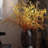 Lifelike Layered Leaf Spray 41" Tall-1439571150
