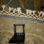 Katherinne Oriental Area Rug in Gray