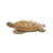 Polystone Turtle Decorative Brown Sculpture
