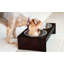 Mangeoire surélevée pour animaux de compagnie-30992007