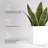 Greenline Fiberglass Jack Medium Indoor/Outdoor Square Cube Planter-51228225-51228281