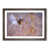 Walnut Framed