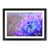 Black Framed selected