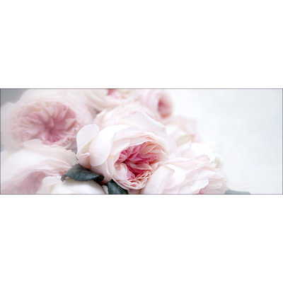 Pink Roses - No Frame Panoramic Print on Float Glass