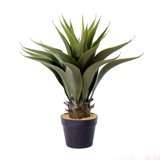 22'' Faux Foliage Succulent in Pot