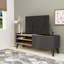 TV Stand with Cabinet and Shelves Cavera