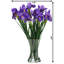 Vase Of Iris - 19 Inches