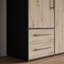 Minija 4 Door Manufactured Wood Wardrobe-1652168114