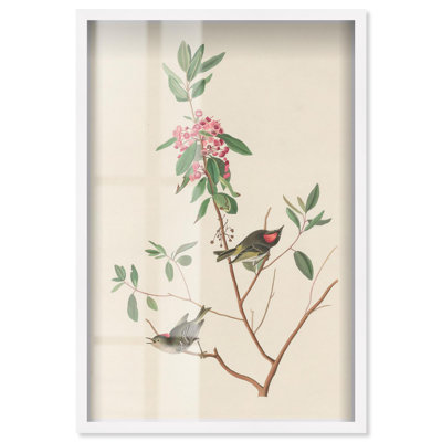 «Mountain Laurel Shadowbox Print» par Art Remedy