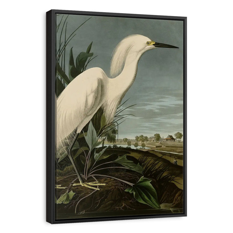 Héron enneigé ou aigrette blanche, Cadre flottant noir, 17 po x 25 po