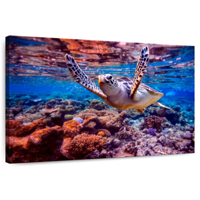 Tortue de mer sur un récif de corail