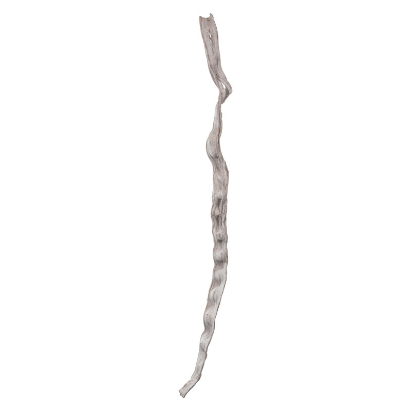 Cipo Escada, séché Cipo Escada, séché, Blanc