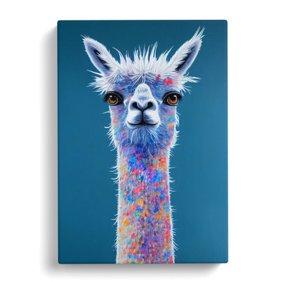 CAN-V0523-1451X Llama - Wrapped Canvas Print