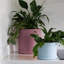 Pot à fleurs rond intérieur / extérieur en plastique moderne avec soucoupe-1933787764-1933896408