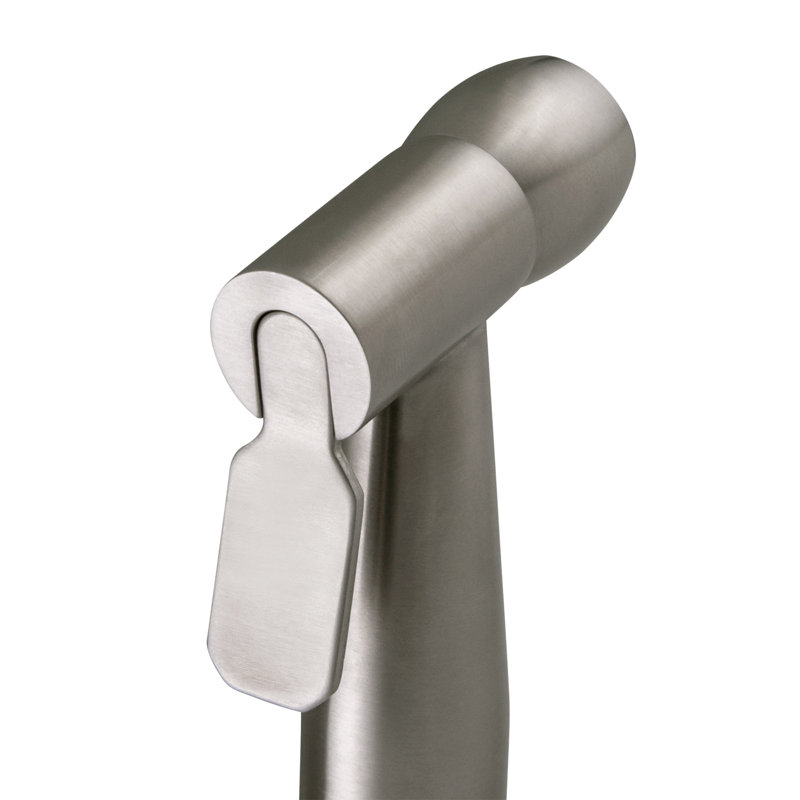 Vaporisateur de bidet à main avec double fixation et tuyau de 48 pouces, Gris