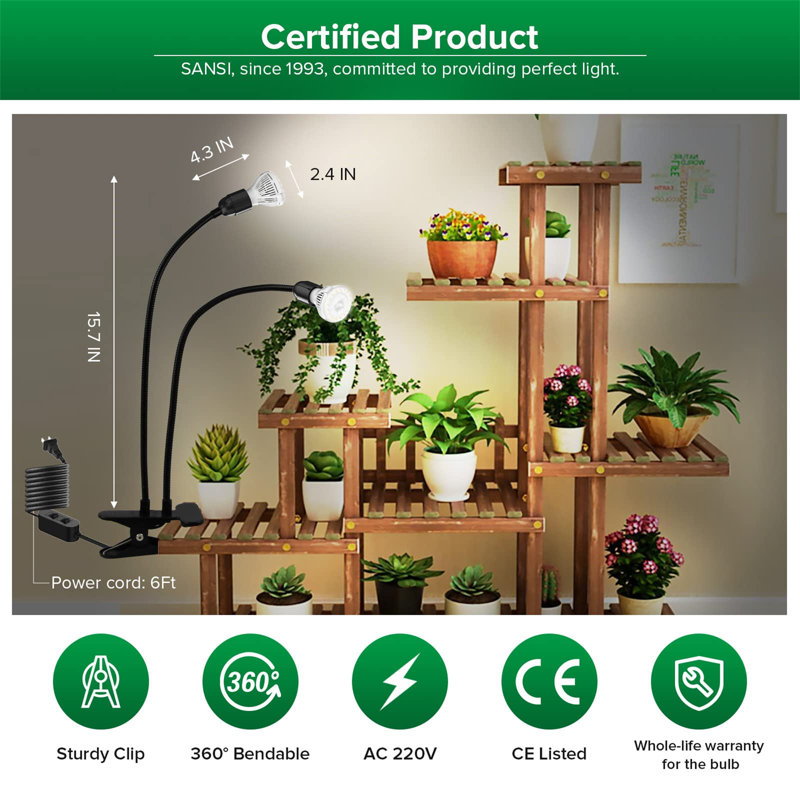 Naomi Grow Light
