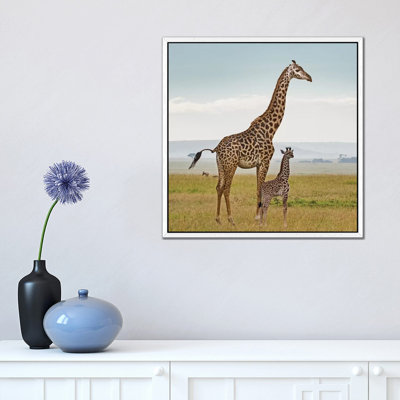 Colour Giraffe & Calf by Klaus Tiedge - Print on Canvas