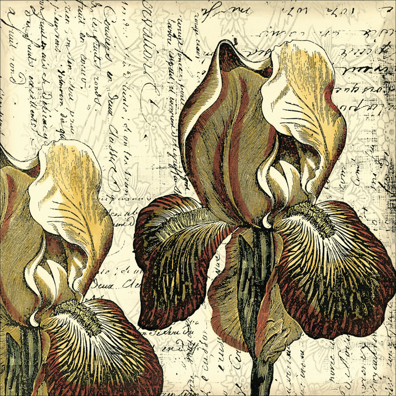 Printed Vintage Composition III (IP by Vision Studio - Wrapped Canvas Art Prints, 51cm H x 51cm W x 3.8cm D