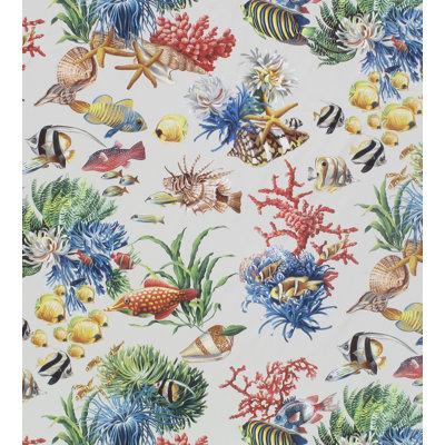 Tissu aquatiquea