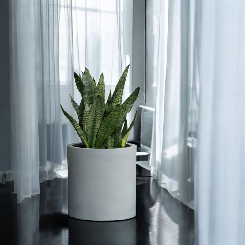 Pot de fleurs en fiberstone, Gris, H 20 po x l 20 po x P 20 po