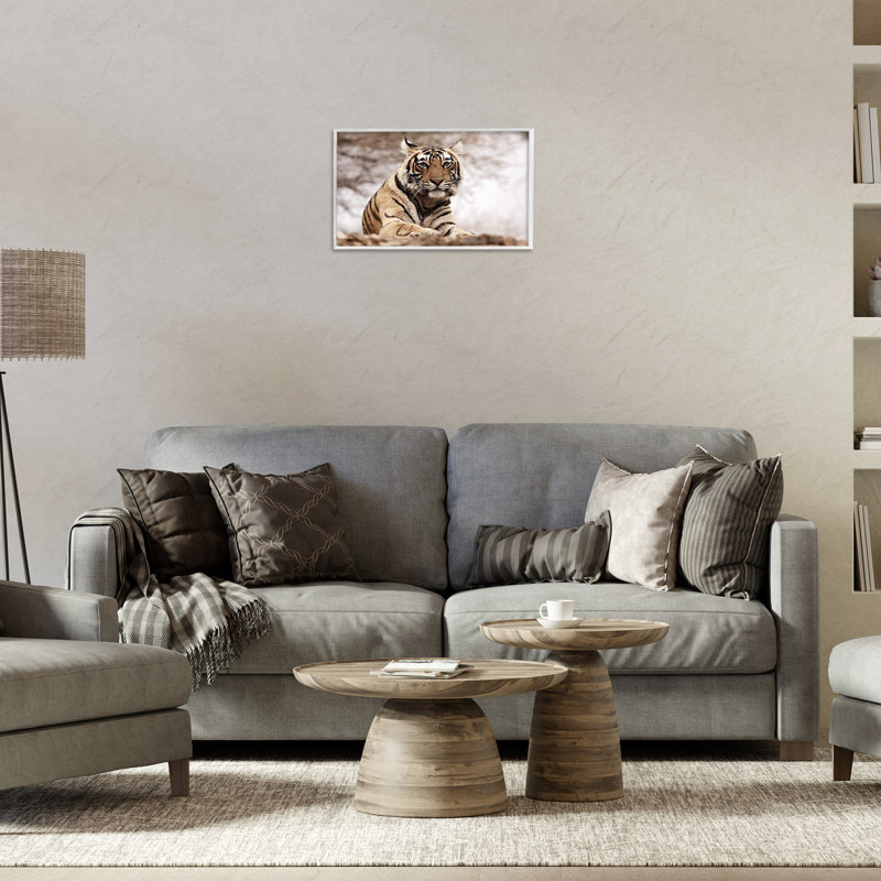 Tigre fort sur une colline, estampe numérique par Danita Delimont, Giclée encadrée blanc bord de mer, H 12 po x l 18 po