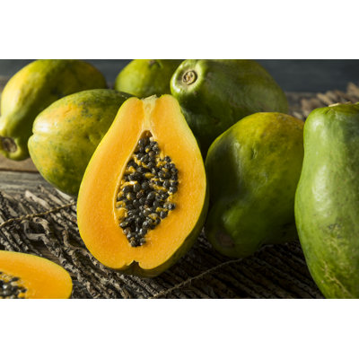 Green Hawaiian Papaya - Wrapped Canvas Print