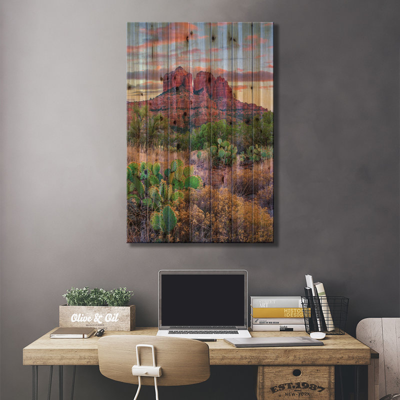 Opuntia cactus, cathédrale, Sedona, Arizona, H 26 po x l 18 po x P 1,5 po