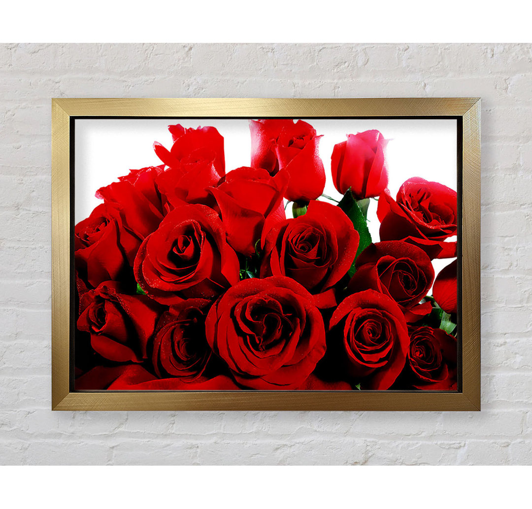 Bouquet Of Red Roses - Einzelner Bilderrahmen Kunstdrucke