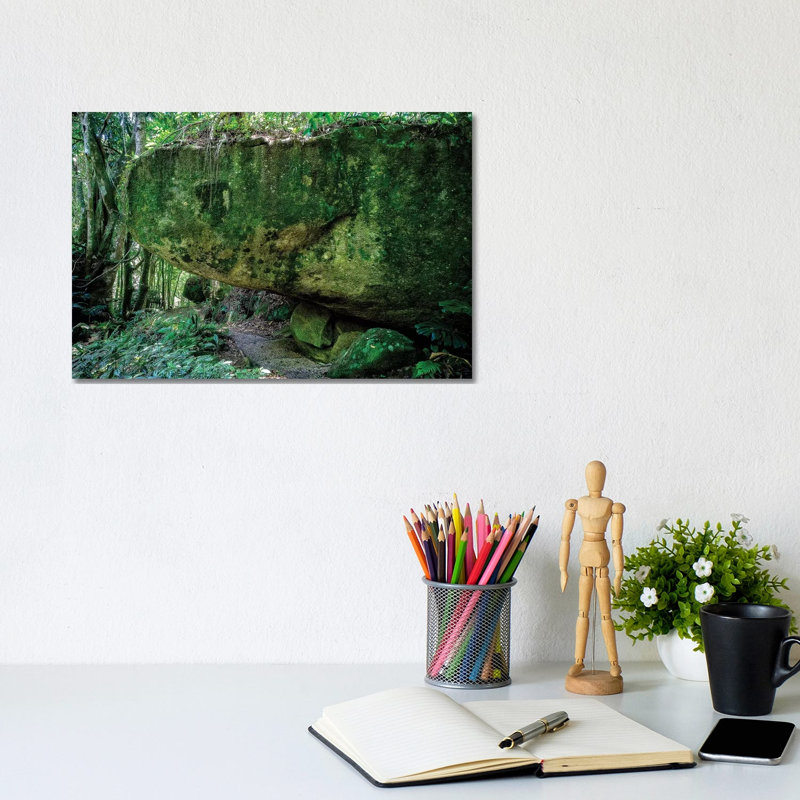 Tropical Forest X 1 Piece Wrapped Canvas Wall Art, 20.32cm H x 30.48cm W x 1.9cm D
