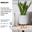 Dotted Style Cylinder Planter with Feet Concrete Effect Cylinder Round Planter on Hardwood Legs, Round Indoor Plant Pot Stand for Indoor Plants, Indoor Flower Pot with Dotted Pattern-1274800034-1274800039
