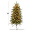 Fraser Lighted Artificial Christmas Tree-50785611