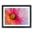 Black Framed selected