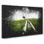Path To A Lone Tree - Wrapped Canvas-56648032