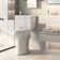 Elongated Two piece Toilet With Extra Tall Bowl, Powerful 1.28GPF Single Flush, Toilets For Seniors & Disabled
