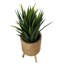 Cachepot