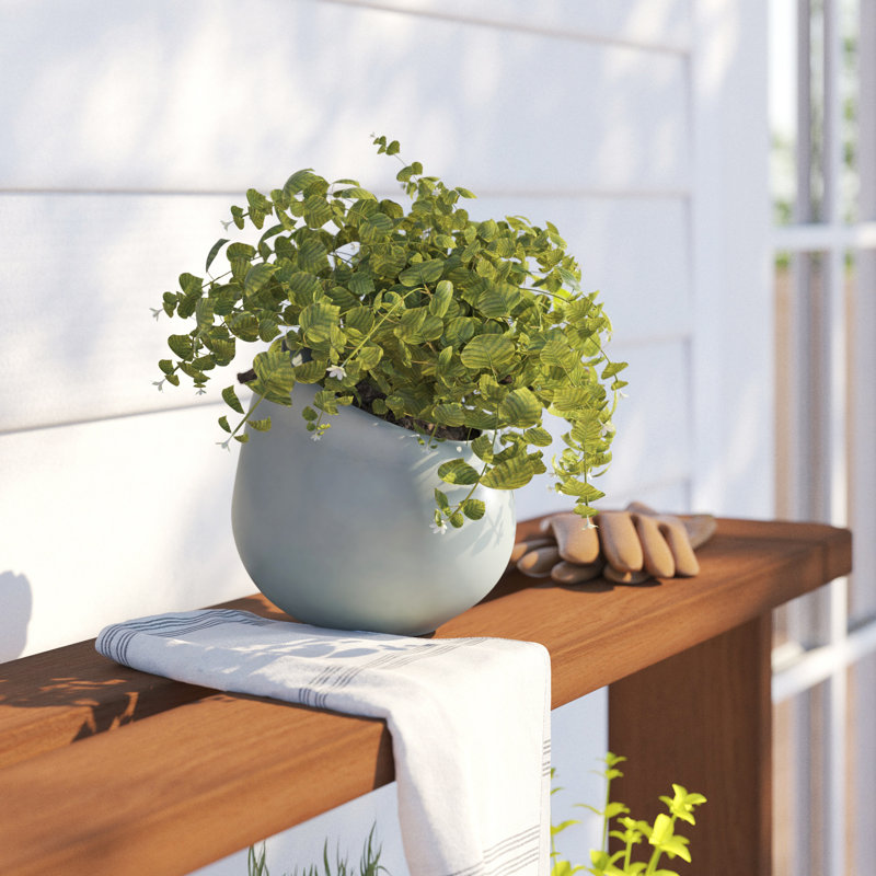 Jardinière murale Hilaria, H 3,5 po x l 4 po x P 5 po, Gris clair mat